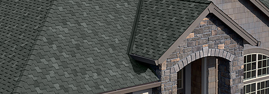 black shingle roof